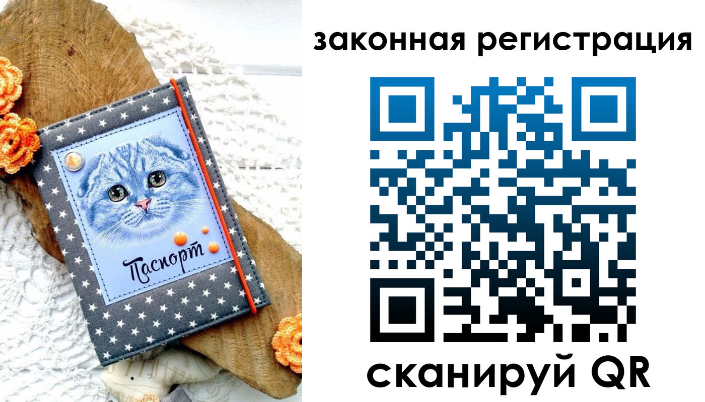 регистрация в Богдановиче